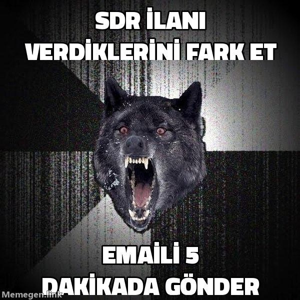 Insanity Wolf meme: SDR ilanı verdiklerini fark et, emaili 5 dakikada gönder