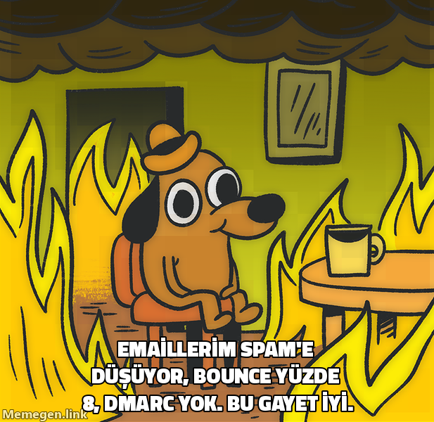 This is fine köpek meme: emaillerim spam'e düşüyor, bounce yüzde 8, DMARC yok, bu gayet iyi